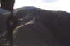 Filename=LeeKing103.jpg
Filesize=168KiB
Dimensions=1037x691
Date added=Jul 31, 2013 LeeKing103.jpg