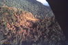 Filename=LeeKing115.jpg
Filesize=360KiB
Dimensions=1037x691
Date added=Jul 31, 2013 LeeKing115.jpg