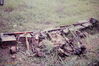 LeeKing167.jpg