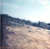 GLProcessed_Nov_68.jpg