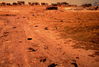 GLimg649.jpg