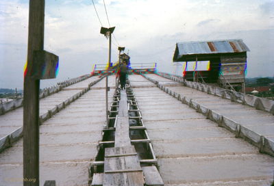 Marshall Ferris Photo
