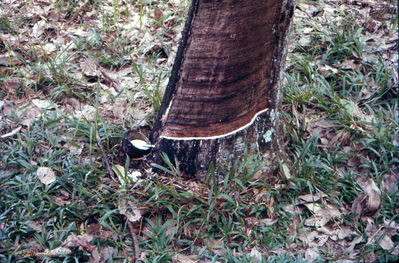 Marshall Ferris Photo
