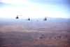 MarshallFerris_0003.jpg