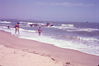 Filename=MarshallFerris_0025.jpg
Filesize=309KiB
Dimensions=1593x1059
Date added=Jul 18, 2011 MarshallFerris_0025.jpg