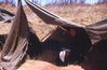 Filename=MarshallFerris_0036.jpg
Filesize=526KiB
Dimensions=1592x1044
Date added=Jul 18, 2011 MarshallFerris_0036.jpg
