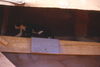 Filename=MarshallFerris_0038.jpg
Filesize=274KiB
Dimensions=1573x1055
Date added=Jul 18, 2011 MarshallFerris_0038.jpg