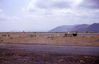 Filename=MarshallFerris_0039.jpg
Filesize=328KiB
Dimensions=1591x1033
Date added=Jul 18, 2011 MarshallFerris_0039.jpg