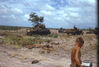 Filename=MarshallFerris_0077.jpg
Filesize=355KiB
Dimensions=1557x1049
Date added=Jul 18, 2011 MarshallFerris_0077.jpg