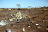 Filename=MarshallFerris_0078.jpg
Filesize=551KiB
Dimensions=1584x1049
Date added=Jul 18, 2011 MarshallFerris_0078.jpg
