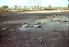 Filename=MarshallFerris_0079.jpg
Filesize=511KiB
Dimensions=1592x1073
Date added=Jul 18, 2011 MarshallFerris_0079.jpg