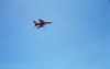 Filename=MarshallFerris_0092.jpg
Filesize=198KiB
Dimensions=1581x999
Date added=Jul 18, 2011 MarshallFerris_0092.jpg