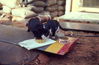 Filename=MarshallFerris_0096.jpg
Filesize=346KiB
Dimensions=1597x1053
Date added=Jul 18, 2011 MarshallFerris_0096.jpg