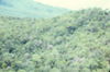 Filename=MarshallFerris_0097.jpg
Filesize=233KiB
Dimensions=1584x1049
Date added=Jul 18, 2011 MarshallFerris_0097.jpg