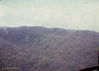 MarshallFerris_0137.jpg