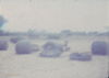 MarshallFerris_0145.jpg