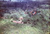 MarshallFerris_0173.jpg