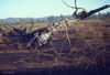 MarshallFerris_0179.jpg