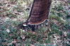 MarshallFerris_0238.jpg