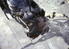 MarshallFerris_0267.jpg