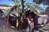 MarshallFerris_0270.jpg