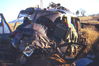 MarshallFerris_0272.jpg