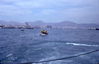 MarshallFerris_0310.jpg