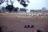MarshallFerris_0315.jpg