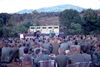 MarshallFerris_0347.jpg