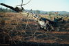 MarshallFerris_0388.jpg