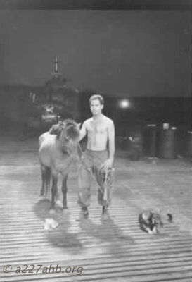 Mickey Barry and Company Horse
Mickey Barry Photo
Lai Khe
