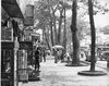 Filename=065_down_town_Plaiku_city.jpg
Filesize=276KiB
Dimensions=969x767
Date added=Dec 07, 2012 065_down_town_Plaiku_city.jpg