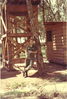 Mike Scovel 10.jpg