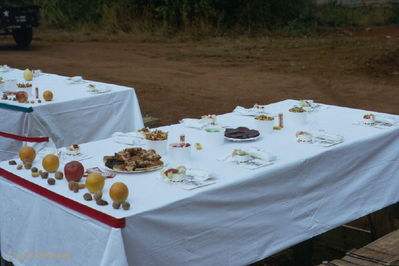 LZ Oasis on Thanksgiving 1966
John Keller Photo

LZ Oasis, Thanksgiving 1966. Table setting thanks to Mess Officer WO1 Richard "Dick" Lamonica's extraordinary efforts!

