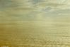 Filename=23.jpeg
Filesize=182KiB
Dimensions=1130x755
Date added=Sep 15, 2018 23.jpeg