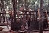Filename=OwenRitchie19.jpeg
Filesize=221KiB
Dimensions=1066x716
Date added=Jul 20, 2022 OwenRitchie19.jpeg