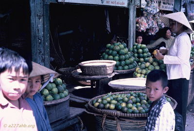 Green Vegetables
Bob Kelly Photo

Phan Thiet market. Selling large green heads of some kind of veggie. Smaller avocado size in front.

