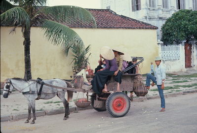 Family Transportation
Bob Kelly Photo

Horse and Buggy

