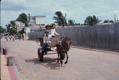Horse and buggy
Bob Kelly Photo
