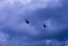 124R1K104.jpg