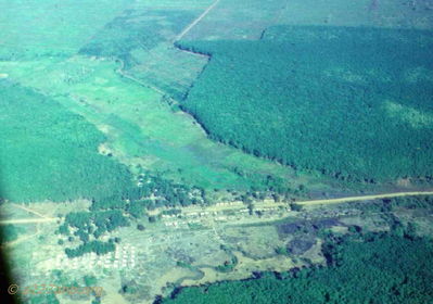 Rubber Plantation next to Quan Loi
Howard Burbank Photo
