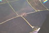 Filename=RegNelson57.jpg
Filesize=342KiB
Dimensions=1228x841
Date added=Jun 15, 2011 RegNelson57.jpg
