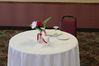 Filename=ChrisLockwood176.jpg
Filesize=204KiB
Dimensions=1296x864
Date added=Aug 09, 2011 ChrisLockwood176.jpg