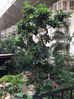 Filename=Reunion1712.jpg
Filesize=393KiB
Dimensions=734x979
Date added=May 09, 2017 Reunion1712.jpg
