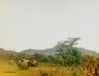 Landing_Zone.JPG