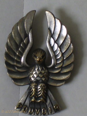  This is the early "POUVOIR" Insignia 
Dennis Burden Collection

