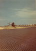 Filename=GuySparrow54.jpg
Filesize=181KiB
Dimensions=613x860
Date added=Dec 31, 2009 GuySparrow54.jpg