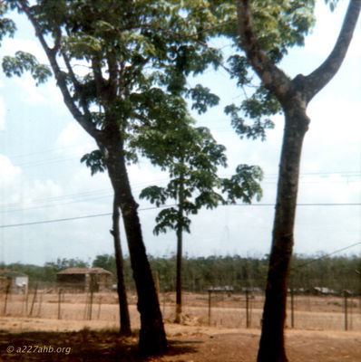 Tom Phillips Photo
