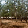 Scan-005.jpg