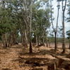 Scan-007.jpg